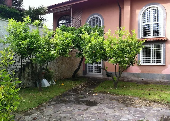 Iolanda Rom